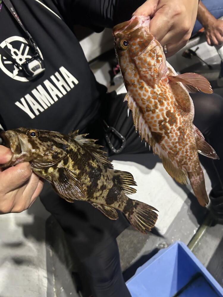 釣果写真