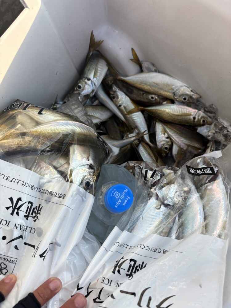 釣果写真