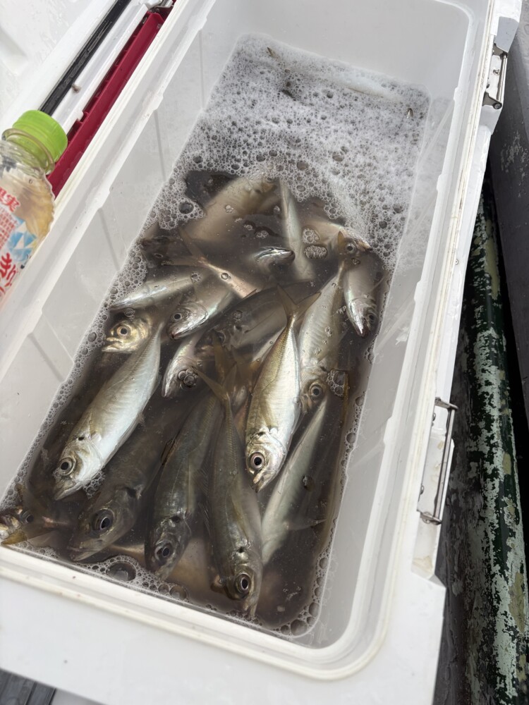 釣果写真