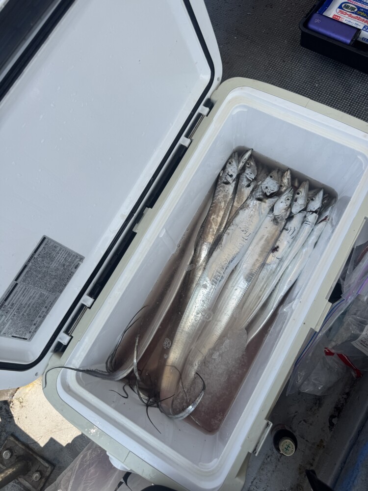 釣果写真