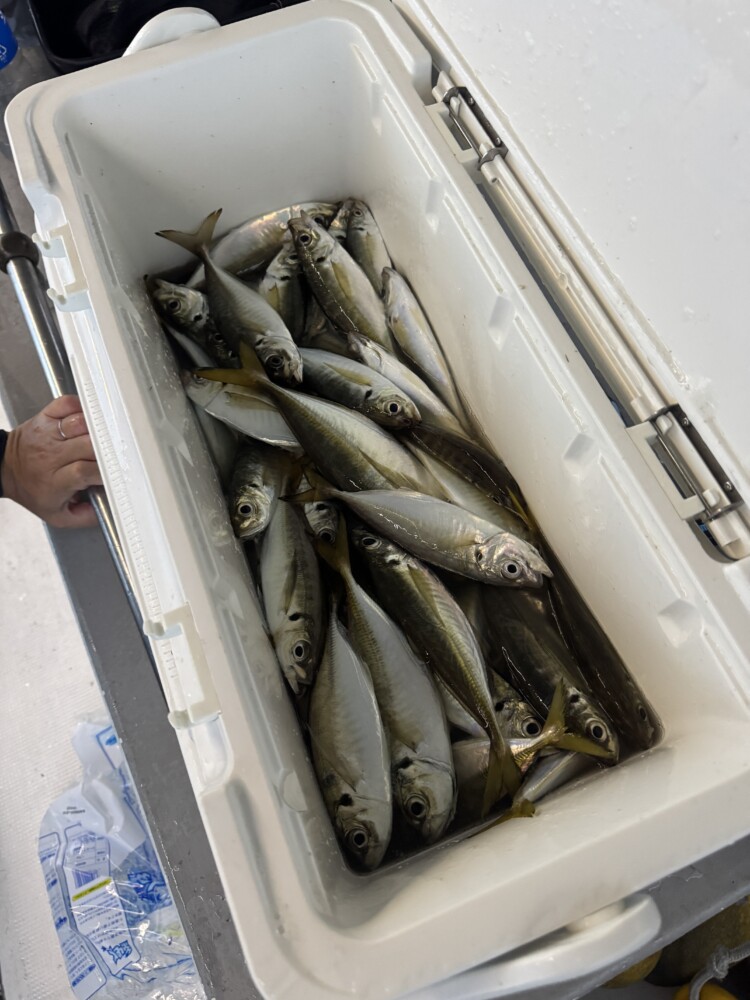 釣果写真