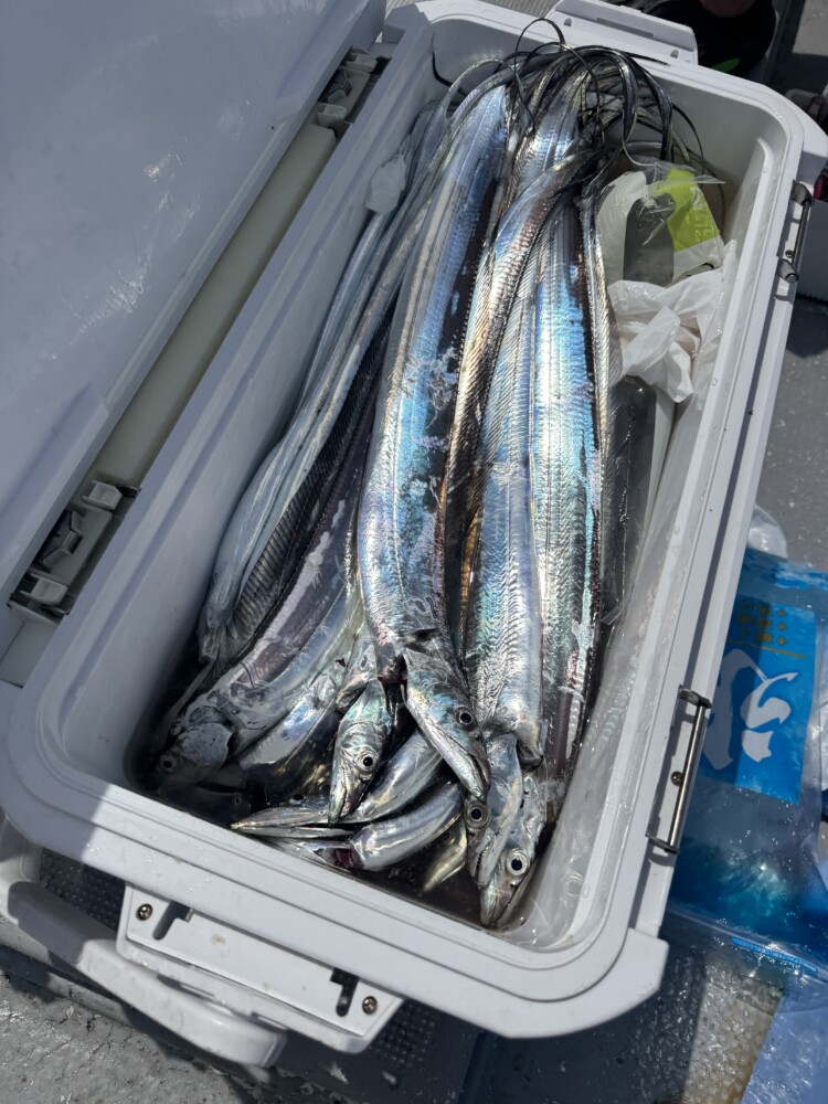 釣果写真