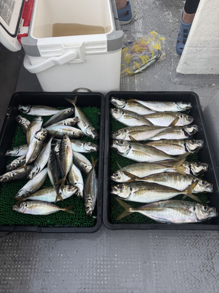 釣果写真