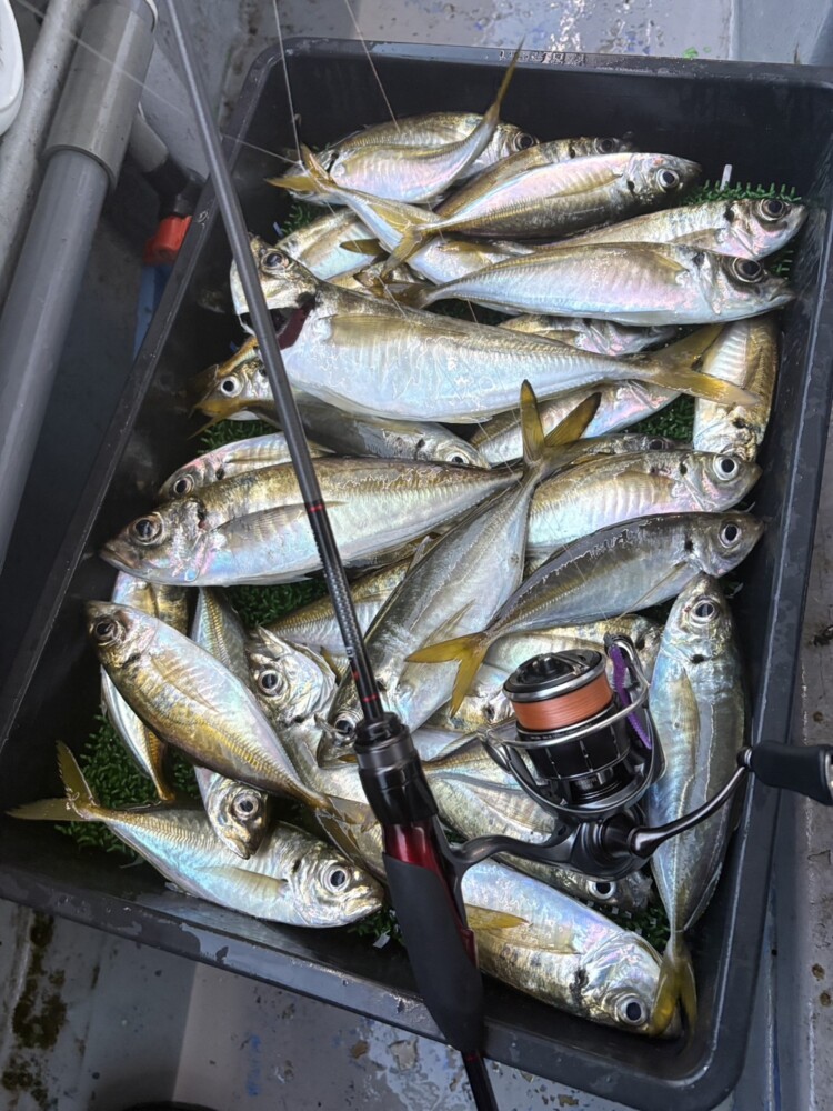 釣果写真