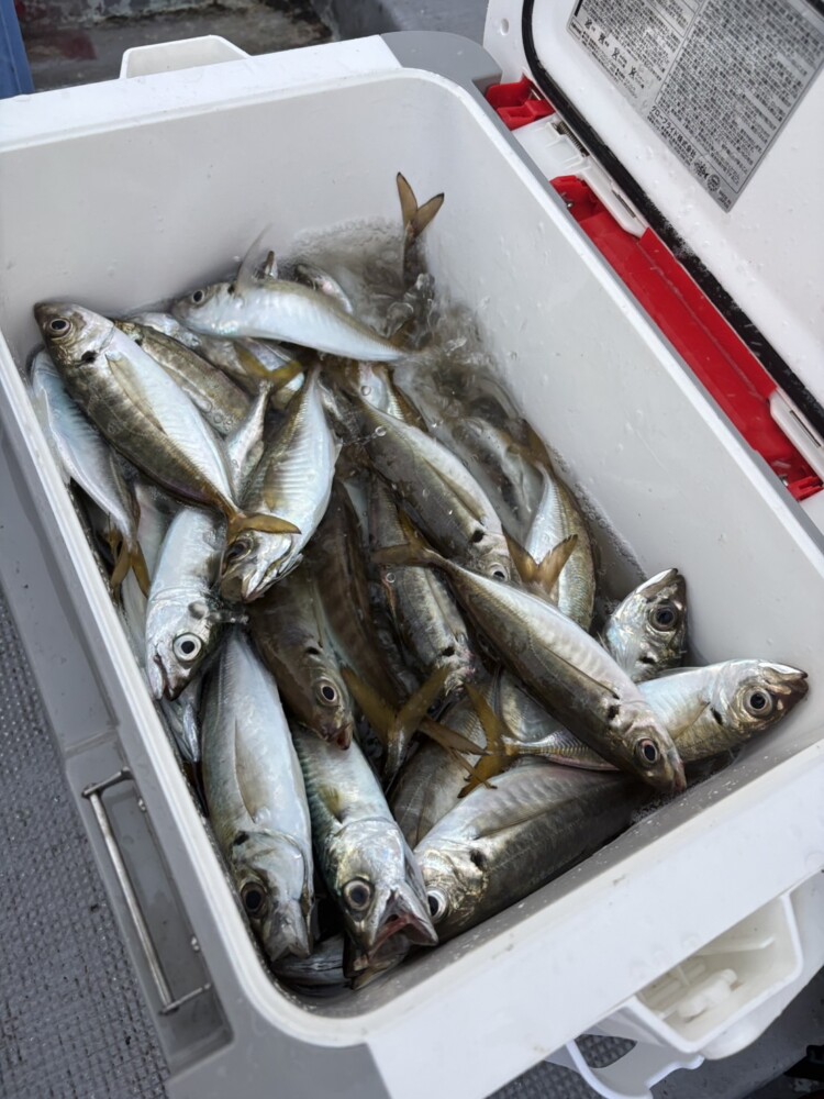 釣果写真