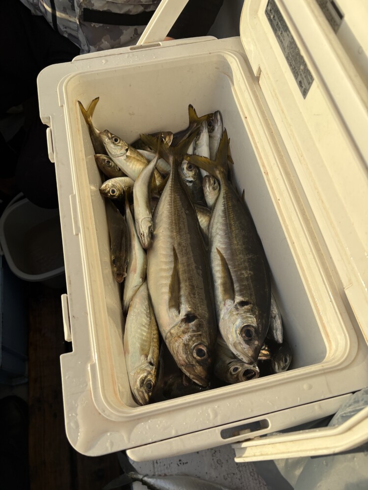 釣果写真