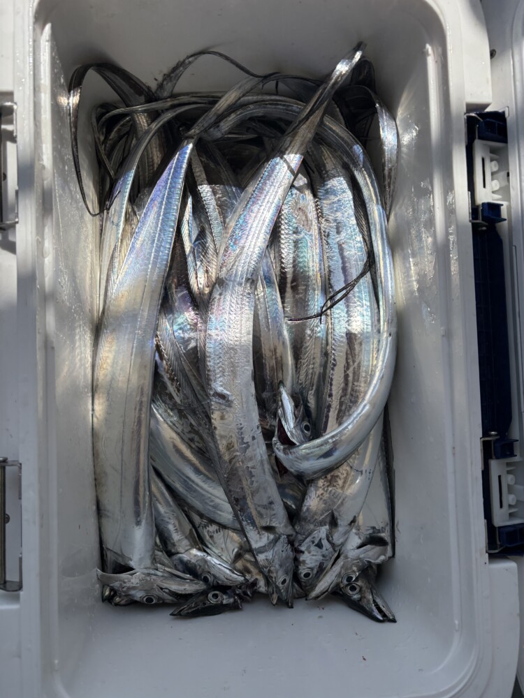 釣果写真