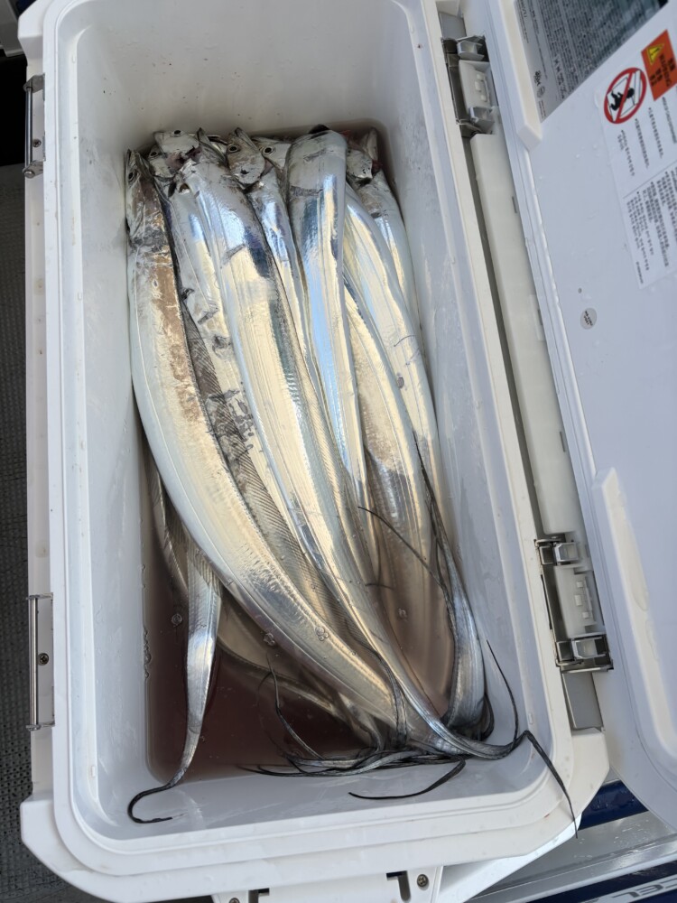 釣果写真