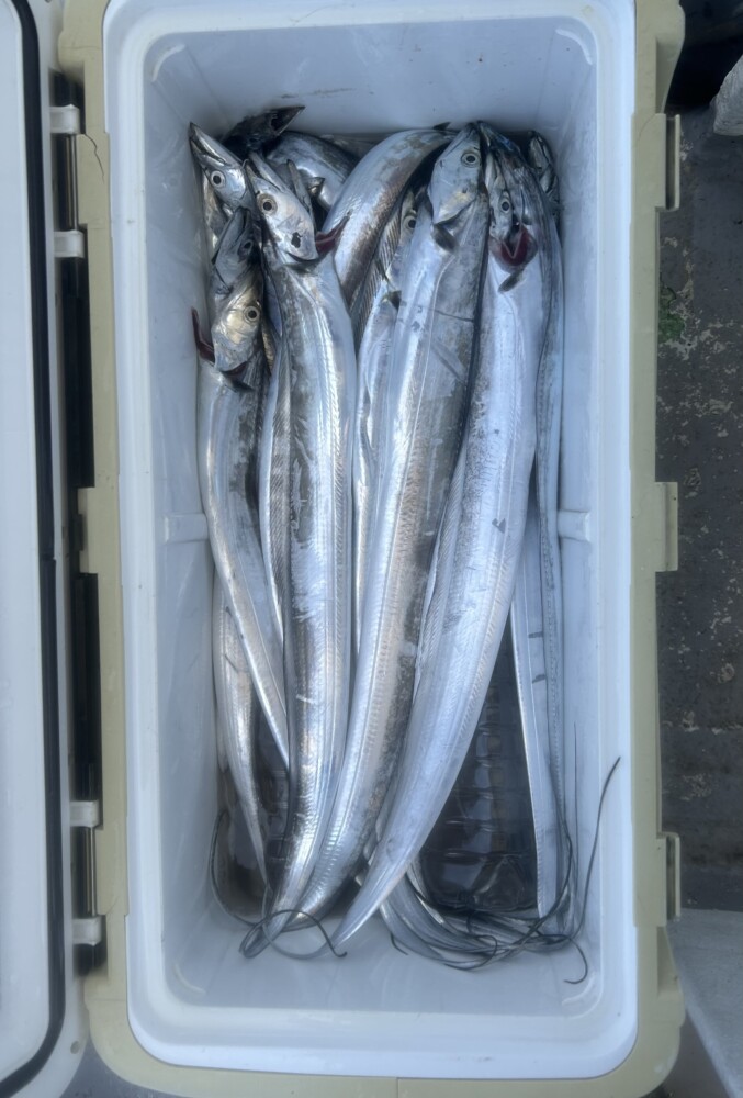 釣果写真