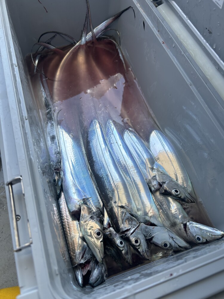 釣果写真