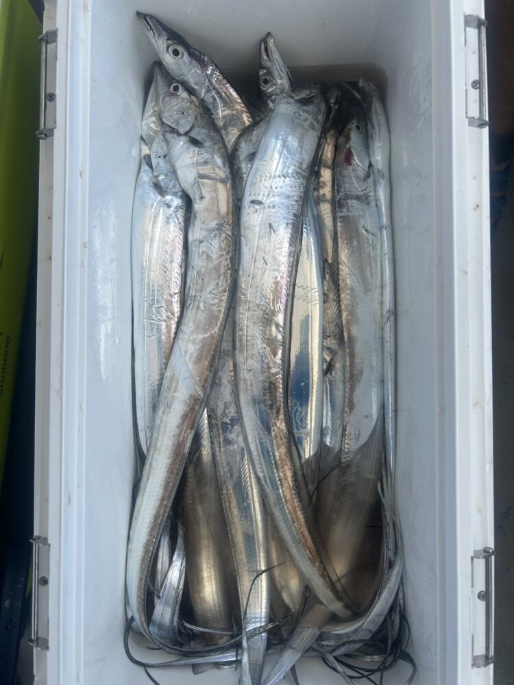 釣果写真