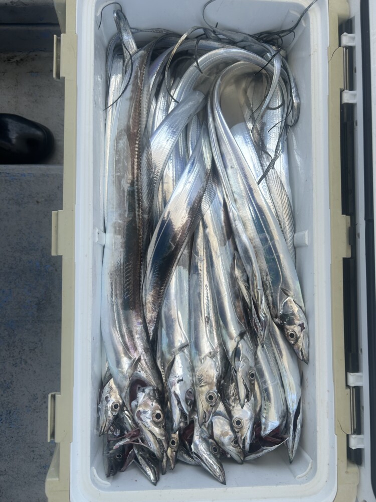 釣果写真