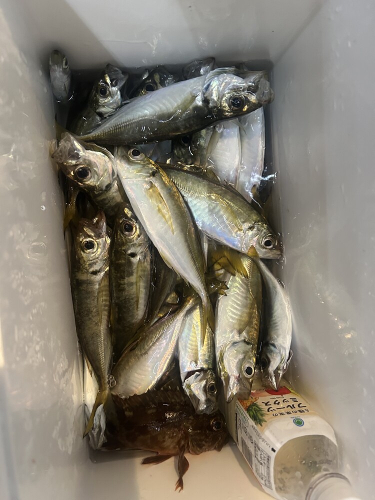 釣果写真