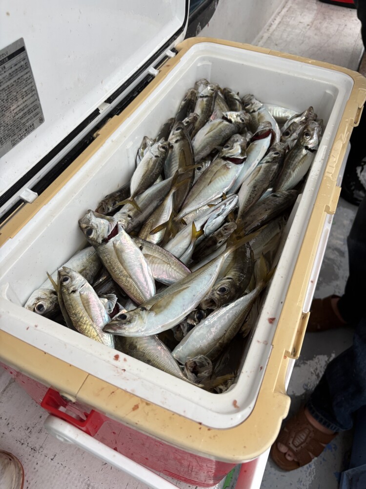 釣果写真