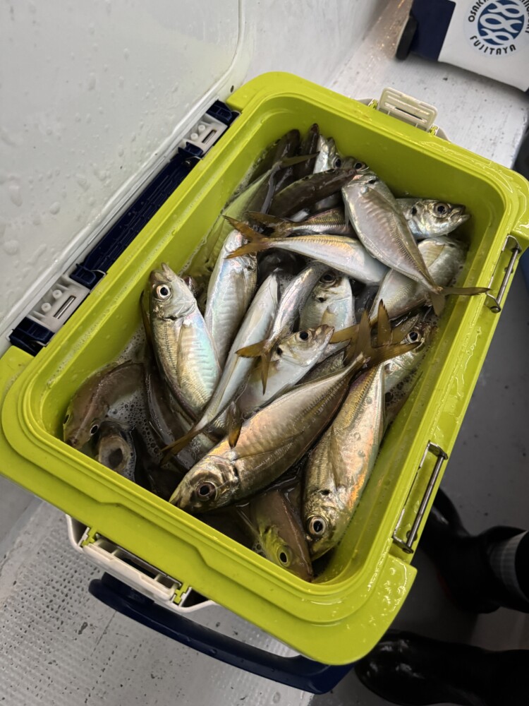 釣果写真