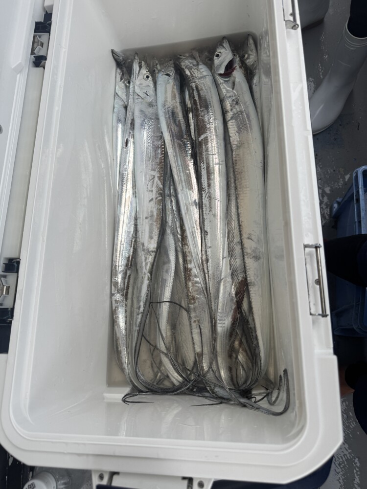 釣果写真