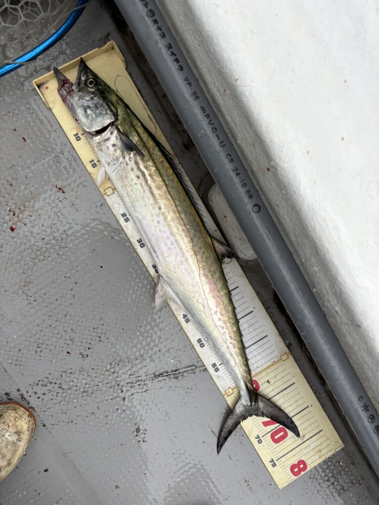 釣果写真