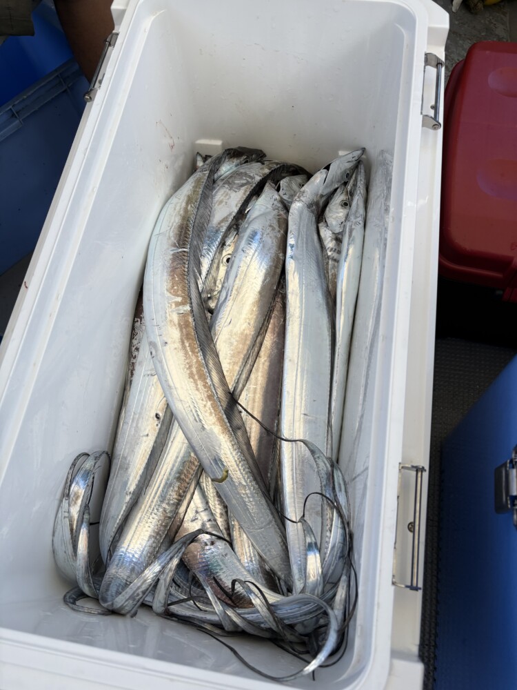 釣果写真