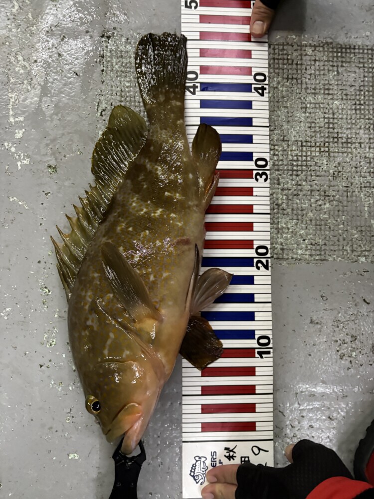 釣果写真
