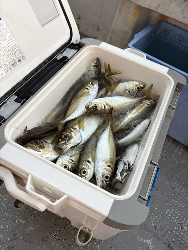 釣果写真