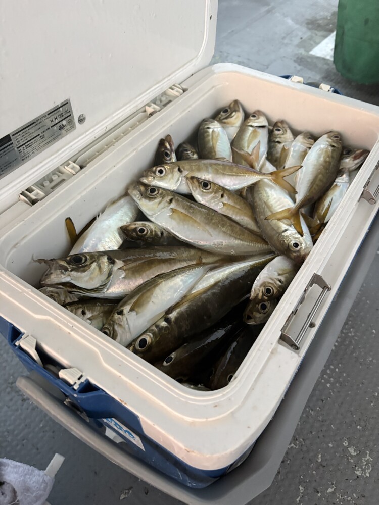釣果写真