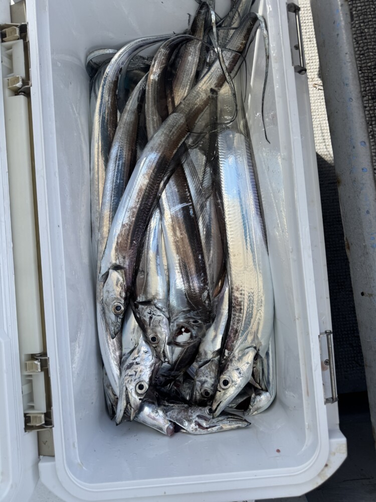 釣果写真