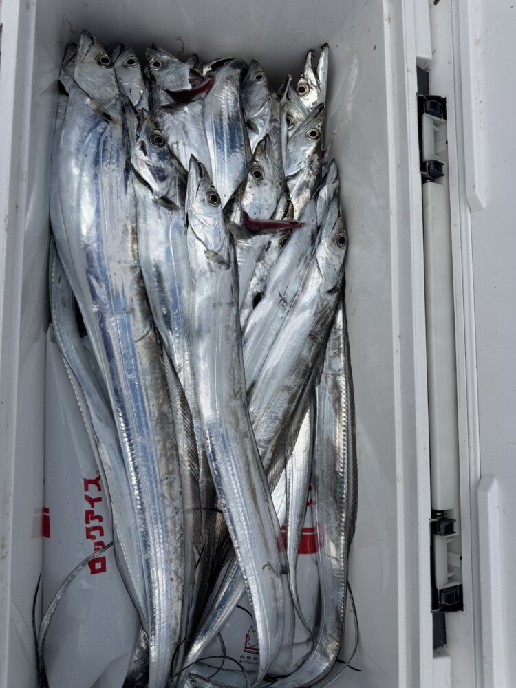 釣果写真