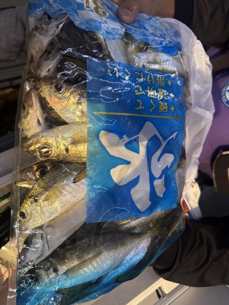 釣果写真