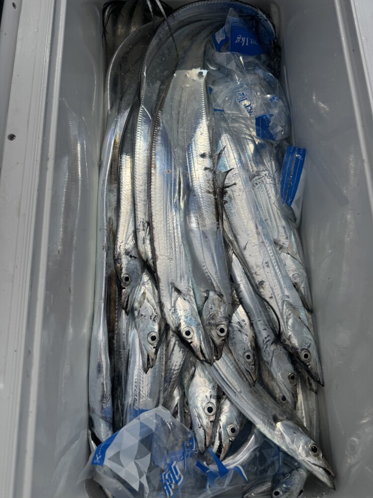 釣果写真
