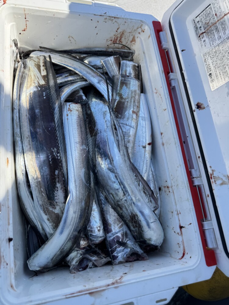 釣果写真