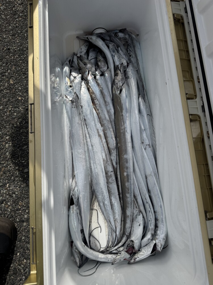 釣果写真